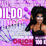16.04.2026 – Dildo-Bingo